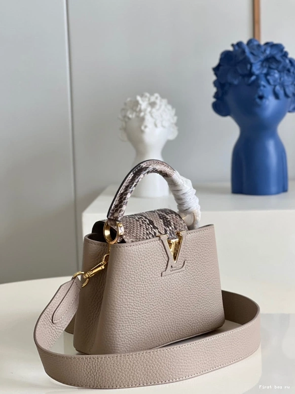 First bag ru VUITTON CAPUCINES MINI LOUIS 0802